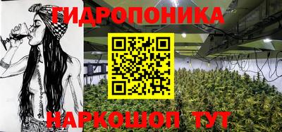 молекула духа Кинель