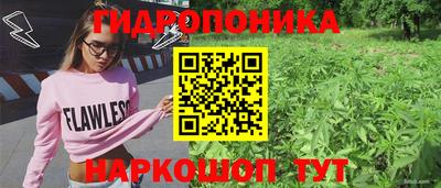 таблы Кингисепп