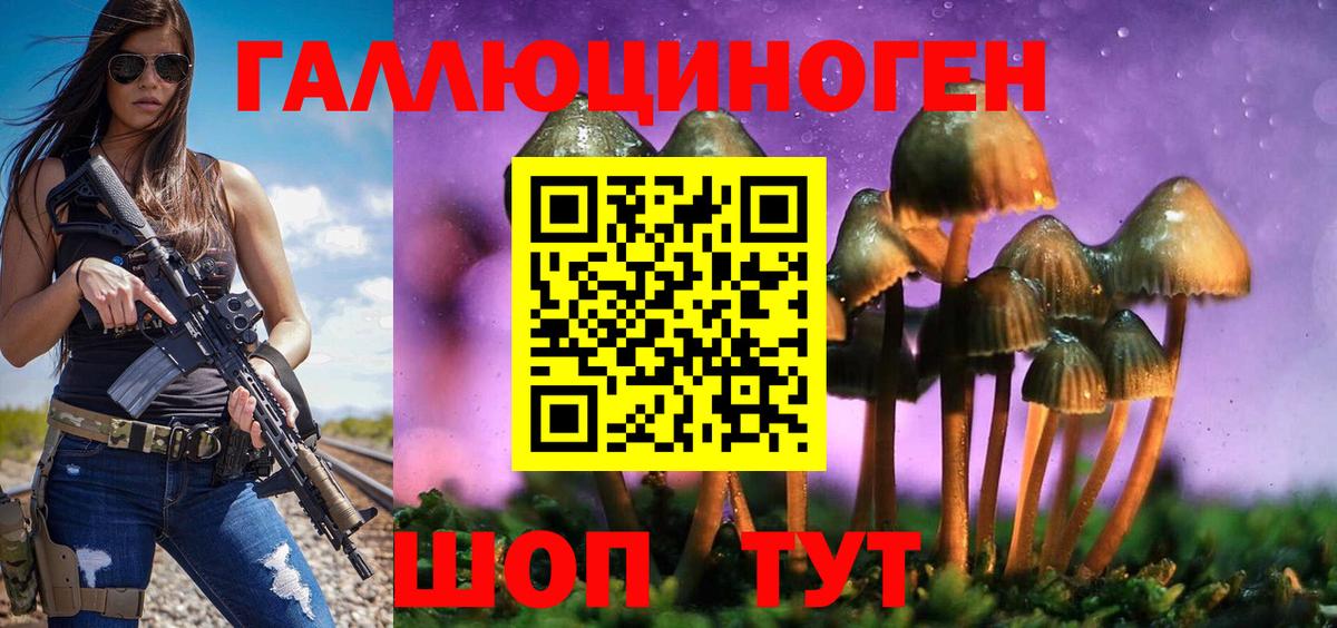 Коммунар  Псилоцибиновые грибы Cubensis  Вход с VPN  Галлюциногенные грибы прущие грибы 